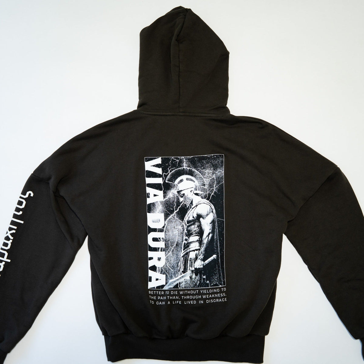 Spartan Hoodie in Black — back print, Spartan warrior with quote