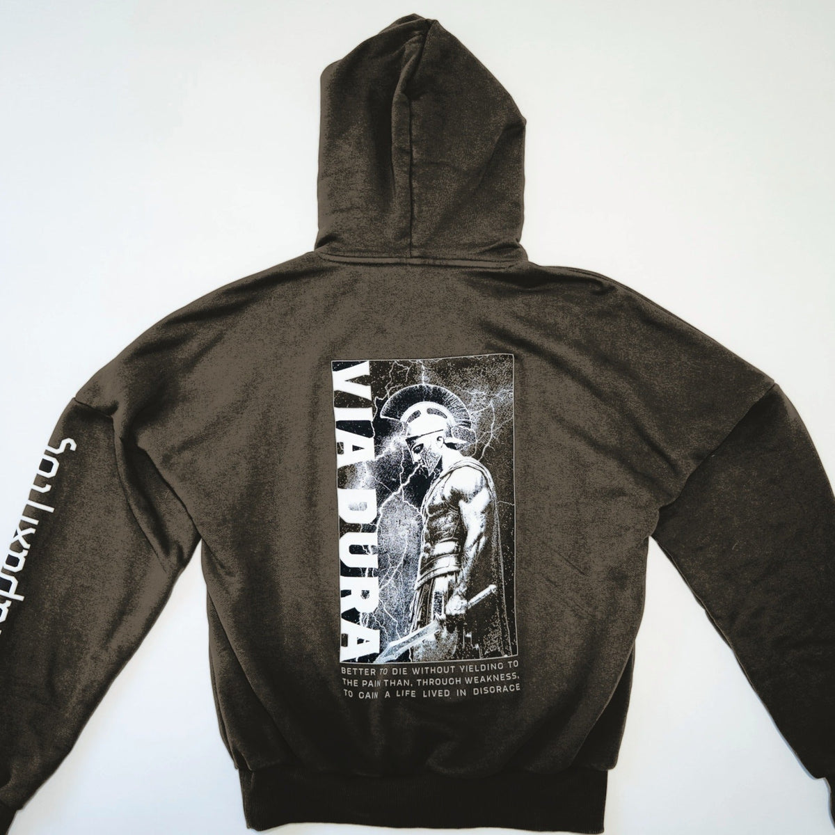 Spartan Hoodie in Volcanic Ash — back print